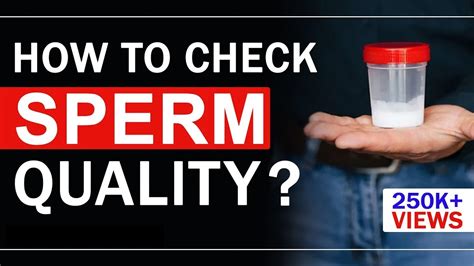 extrem sperma|how to check sperm volume.